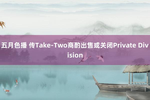 五月色播 传Take-Two商酌出售或关闭Private Division