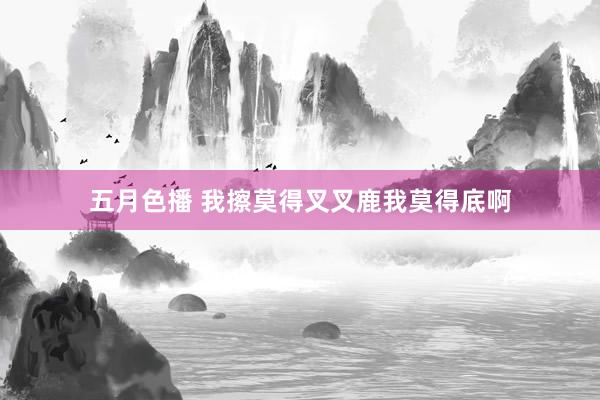 五月色播 我擦莫得叉叉鹿我莫得底啊