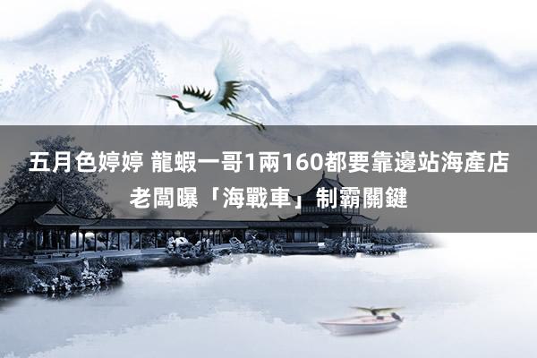 五月色婷婷 龍蝦一哥1兩160都要靠邊站　海產店老闆曝「海戰車」制霸關鍵